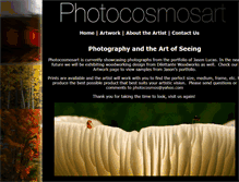 Tablet Screenshot of photocosmosart.com